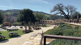 Hidden Gem in Santa Ynez Valley | Solvang Day Trip