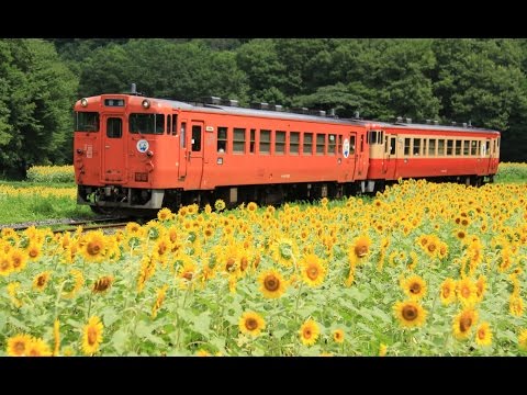 烏山線とひまわり畑