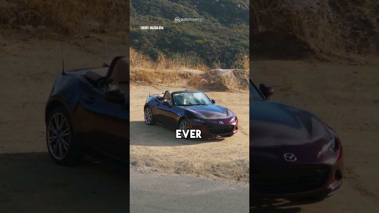 The Best Manual Car You Can Buy 