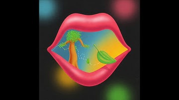 Thumbnail of Brigt - Tenderly (Official Audio)