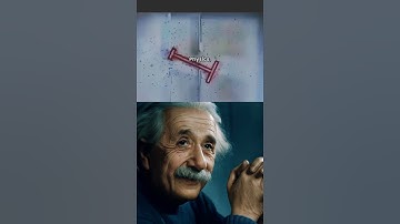 LOGICAL PUZZLE  🤯🧠💯                          #einsteinlogic #einstein #logicpuzzle