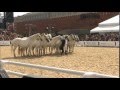 Лоренцо.Lorenzo Emotion horse show in Moscow.Летающий всадник