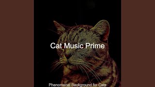 Subdued Cute Cats