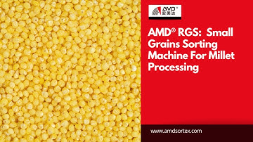 AMD RGS: SMALL GRAIN SORTING MACHINE
