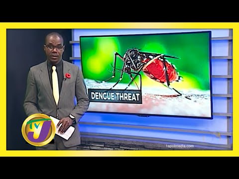 Dengue Threat Growing with Increased Rainfall - October 16 2020