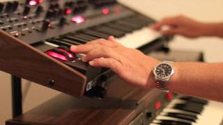 Shine on you crazy Diamond Part 1 OB-6 and Solina String Ensemble