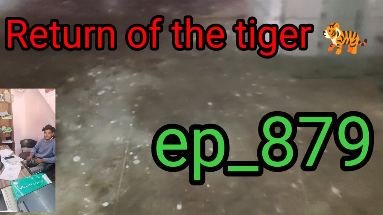 Ep-879 return of the tiger 🐅🐯||tiger hindi story New tiger story