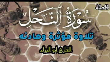 سورة النحل كاملة / تلاوة مؤثرة وهادئه للقارئ ابو البراء