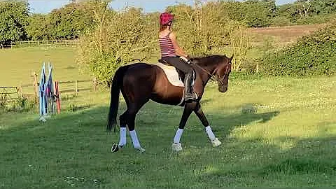 Hayley Ward & celestial vision novice 24