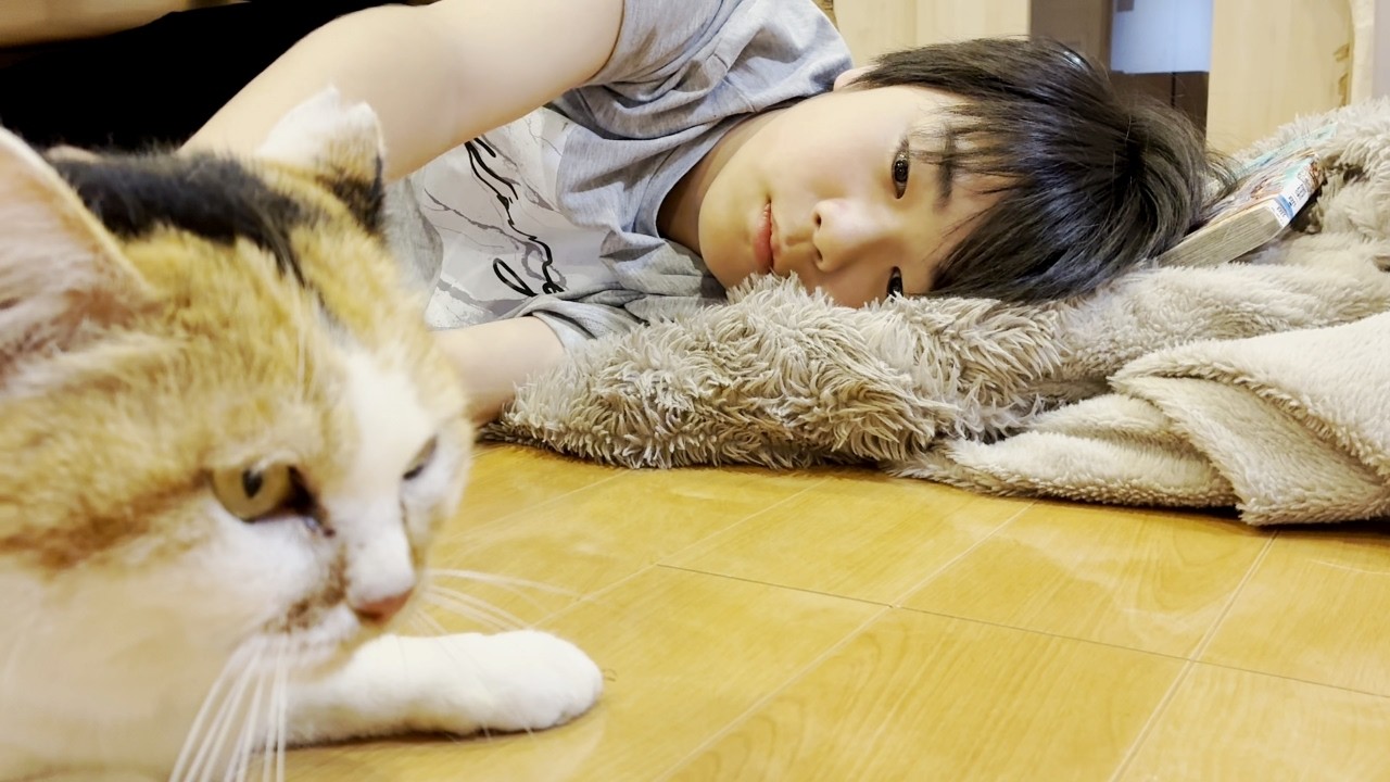お家の中で中学生の息子が三毛母猫に寝かしつけてもらっていました…笑【ミケちゃんとニーニ】