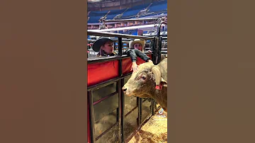 What You Don't See At Rodeo Events, Top Bucking Bulls #Rodeo #buckingbull #buckingbulls #bullriders