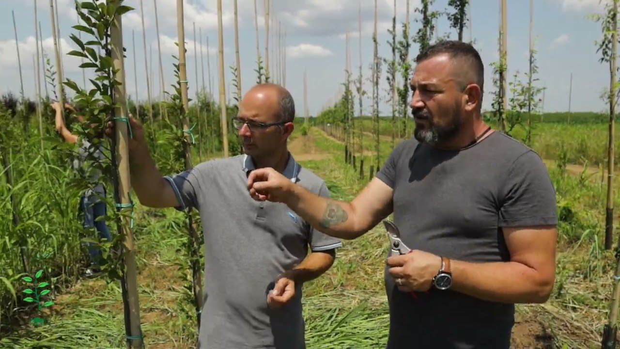 Svet rasadnika ep. 122 15.07.2023. Rasadnik 