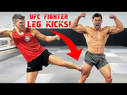 Leg Kicked by Pro UFC Fighter Stephen Wonderboy Thompson *CRAZY PAIN* | Bodybuilder VS MMA Challenge