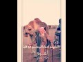 منكوس لااشكي من الدنيا ولاني من بني عمي منكوس لااشكي من الدنيا ولاني من بني عمي