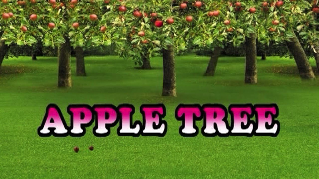 APPLE TREE [Official Karaoke] YouTube
