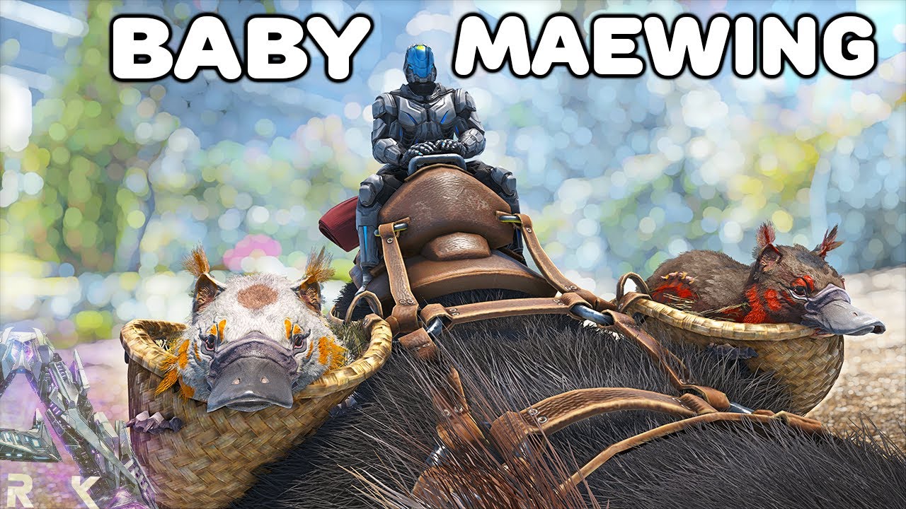 Myewing BREEDING MAEWINGS TO TAKE ON AN ADVENTURE | ARK SURVIVAL EVOLVED ...