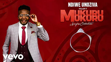 Killer T - Ndiwe Unoziva (Official Audio)