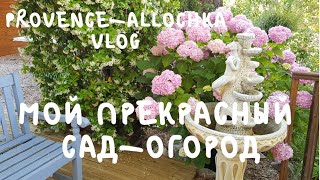 Мой САД ОГОРОД /Прикольная КУРИЦА 🐔/ ПОМИДОР 🍅 уже краснеет / Вроде и ВЛОГ, а одни ЛАЙФХАКи Мой САД ОГОРОД /Прикольная КУРИЦА 🐔/ ПОМИДОР 🍅 уже краснеет / Вроде и ВЛОГ, а одни ЛАЙФХАКи