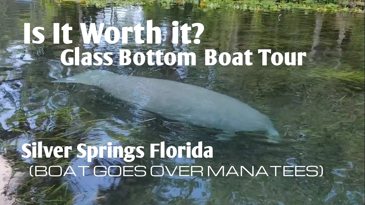 Is it Worth it? Glass Bottom Boat Tour at Silver Springs Fl (Boat goes