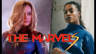Famous Drinker's Chasers - The Marvels Director BEGS For Captain Marvel 3, Reality Is Setting In Profile
