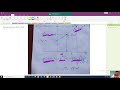 Vector Fields