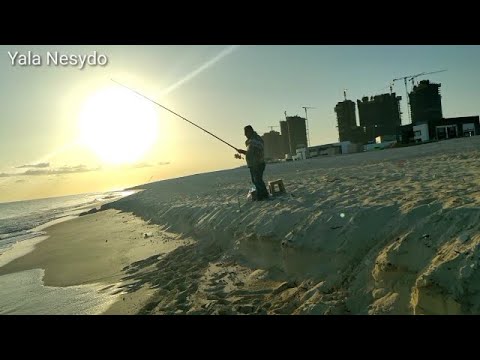 سر صيد الدنيس الكبير وأهم ٣ امكان لصيد الدنيس