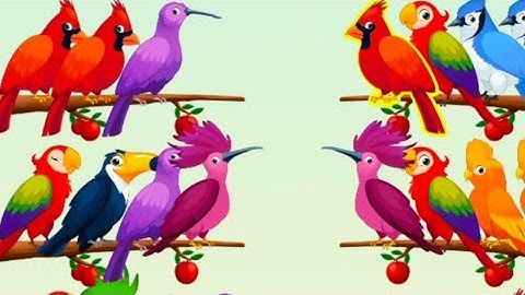 Birds Puzzle/ Birds Sort/ Colourfull Birds/Game 