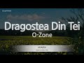 Ozonedragostea din tei karaoke version