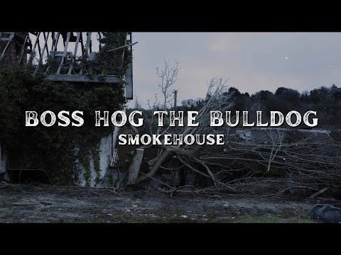 Boss Hog the Bulldog #lyrics #lyricvideo