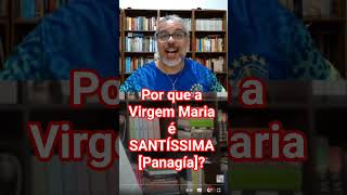Por que chamamos a Virgem Maria de SANTÍSSIMA? Entenda! #theotokos #teologia #deus #santissimavirgem