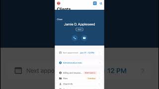 New Client Profiles in the SimplePractice Mobile App