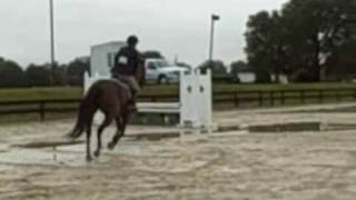 Echo jumping 2'9 (hunter)