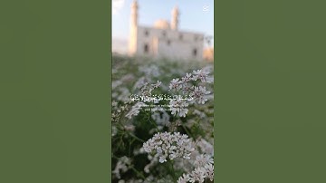 قران كريم راحه نفسيه اكتب شي تؤجر عليه ❤🤲🏻 #اكسبلور