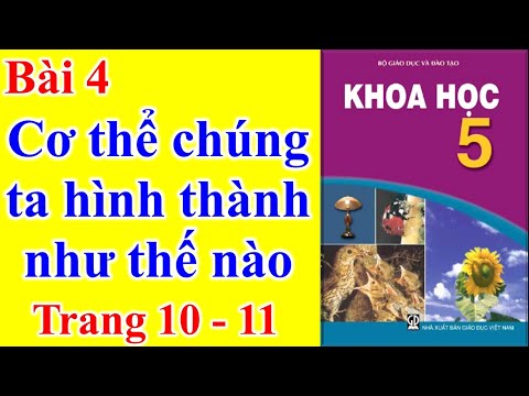 Video Khoa học Lớp 5 Bài 4 - Cơ thể chúng ta được hình thành... - YouTube
