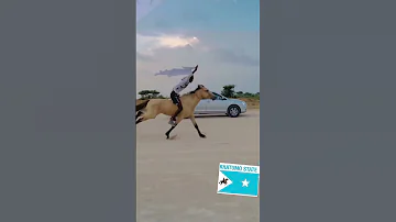 Hees Daraawiish Khatumo Dhaanto 