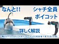 なんと！！シャチ全員ボイコット！【2020年7月13日15:00　鴨川シーワールド　シャチパフォーマンス】Killer whale performance, Kamogawa Sea World