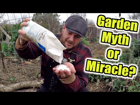 Video: Epsomská soľ v záhradníctve: Je epsomská soľ dobrá pre rastliny?