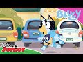  pappas levering   bluey  disney  junior norge