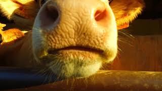 Camminata Al Panperduto