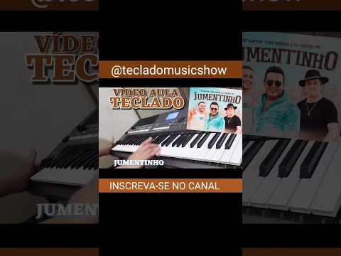 JUMENTINHO - ZÉ
