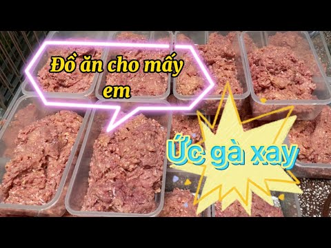 Video: Thức ăn cho chó không có sản phẩm từ gà