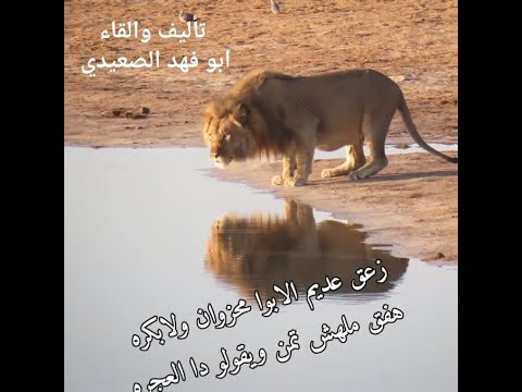 زعق عديم الابوا محزوان ولابكره أبو فهد الصعيدي 