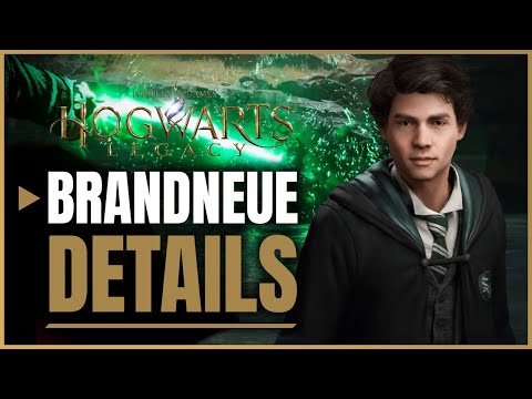 4 interessante Neuigkeiten zu Hogwarts Legacy🧙‍♂️