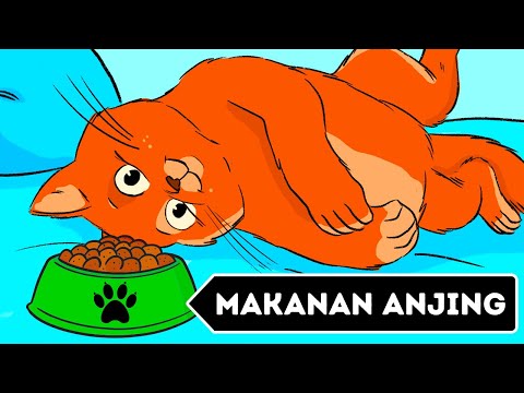 Kenapa Kucing Tidak Boleh Makan Makanan Anjing