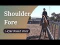 Horse Training - Shoulder Fore How What &amp; Why