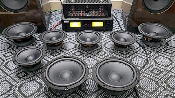 Hơn triệu đôi Bass 20 chất như này, Mid 16 lại càng rẻ hơn - Test âm thanh trực tiếp