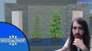 Creating the Next Generation of Weed | Weed Shop 3 screenshot 4