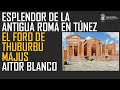 El Foro Romano de Thuburbo Majus, joya de la urbanística en el África Proconsoluar. Aitor Blanco