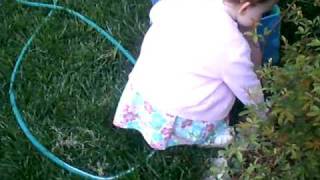 brenna easter egg hunting