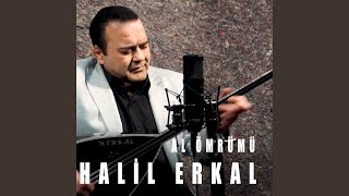 Nuhun Gemisi